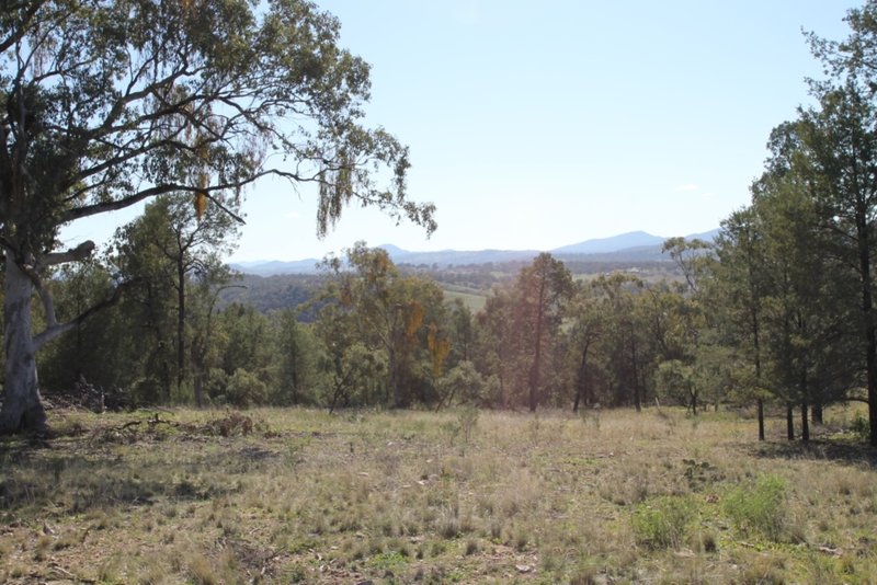 Photo - Lot 144 Grandview Place, Quirindi NSW 2343 - Image 3