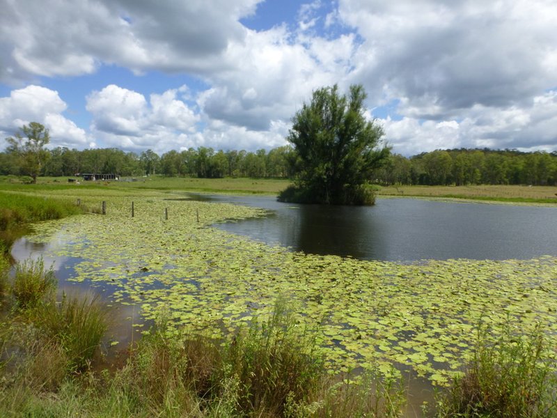 LOT 144 Old Lawrence Road Deep Creek , Mallanganee NSW 2469