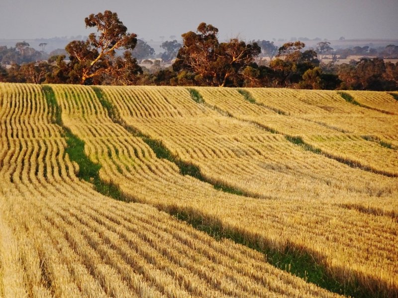 Photo - Lot 1446 Great Southern Highway, Highbury WA 6313 - Image 1