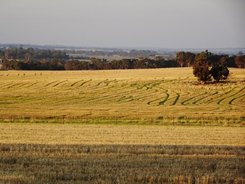 Photo - Lot 1446 Great Southern Highway, Highbury WA 6313 - Image 2