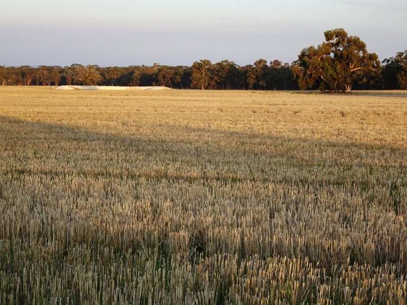 Photo - Lot 1446 Great Southern Highway, Highbury WA 6313 - Image 3