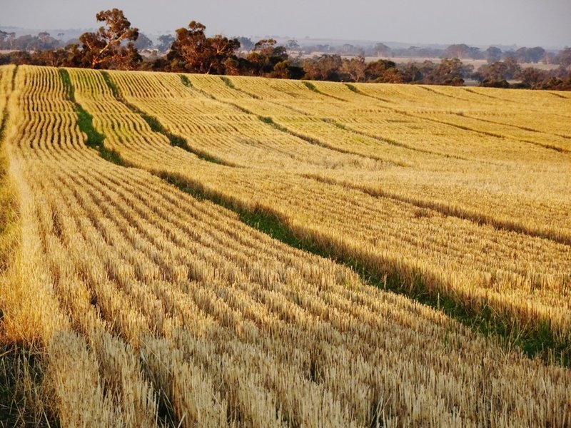 Photo - Lot 1446 Great Southern Highway, Highbury WA 6313 - Image 4