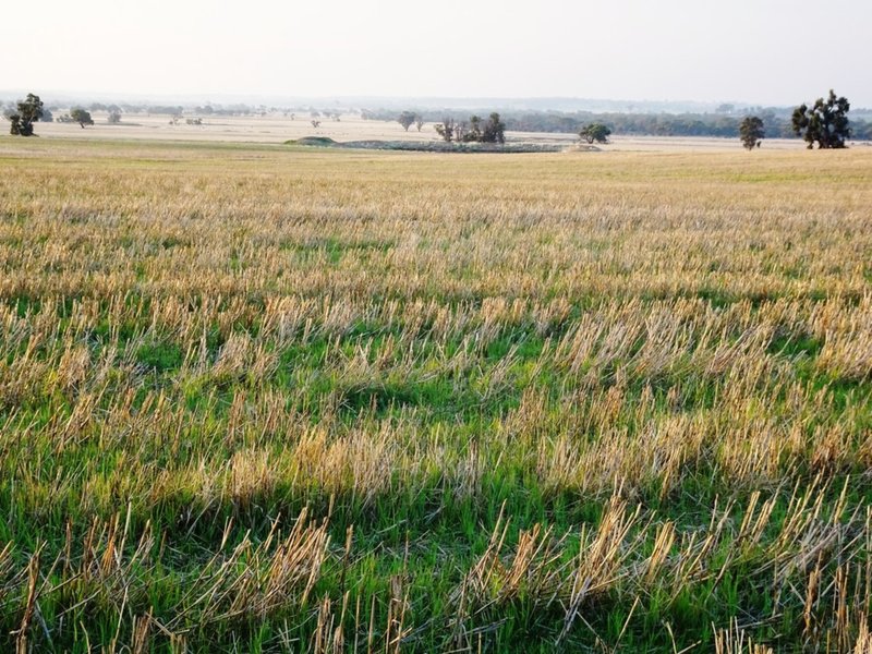 Photo - Lot 1446 Great Southern Highway, Highbury WA 6313 - Image 5