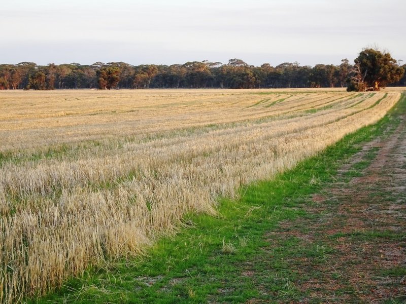 Photo - Lot 1446 Great Southern Highway, Highbury WA 6313 - Image 6