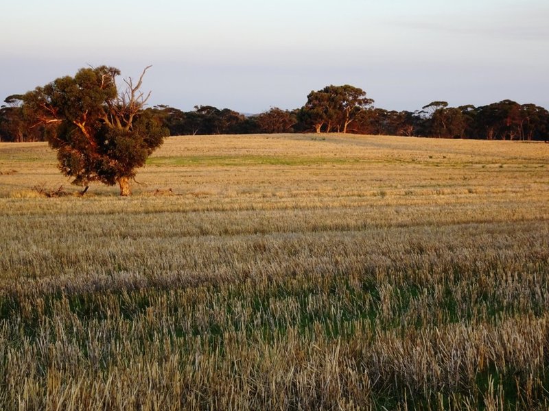 Photo - Lot 1446 Great Southern Highway, Highbury WA 6313 - Image 7