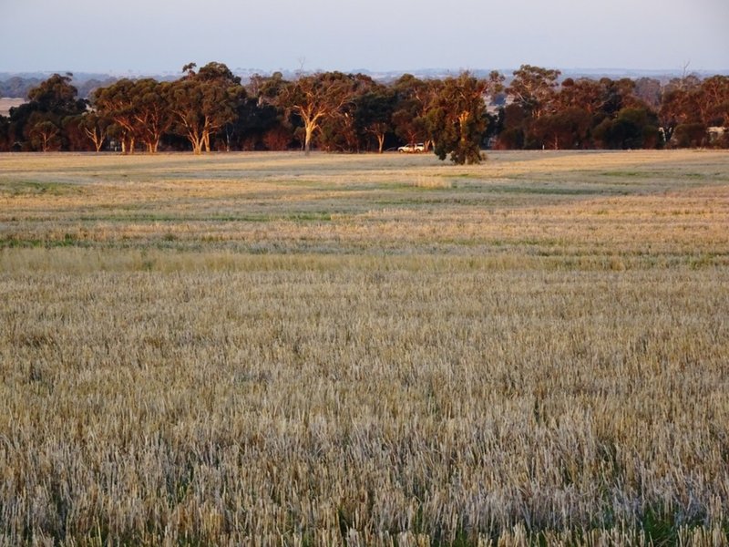 Photo - Lot 1446 Great Southern Highway, Highbury WA 6313 - Image 8