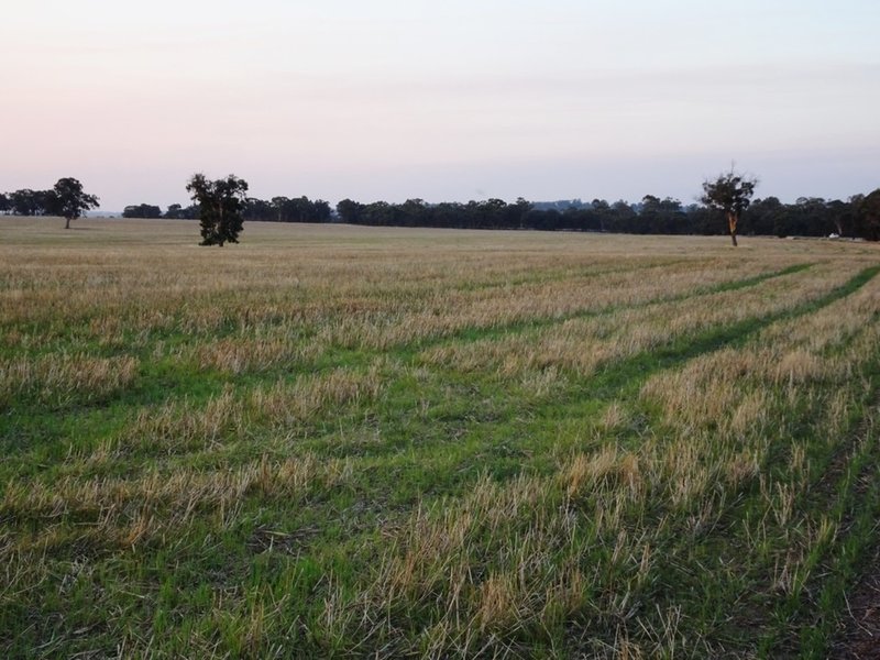 Photo - Lot 1446 Great Southern Highway, Highbury WA 6313 - Image 10