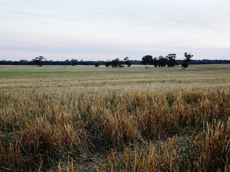 Photo - Lot 1446 Great Southern Highway, Highbury WA 6313 - Image 13