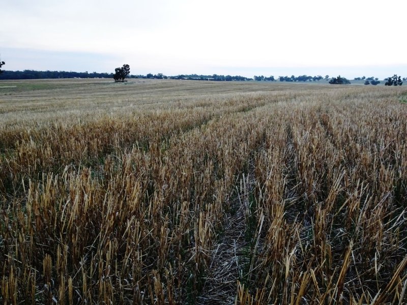 Photo - Lot 1446 Great Southern Highway, Highbury WA 6313 - Image 14