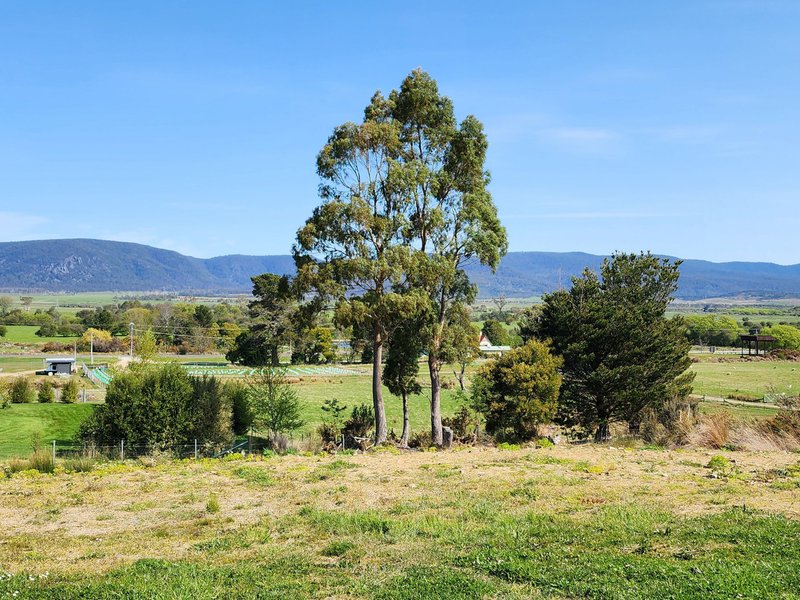 Photo - Lot 1/46 Gardiners Creek Road, St Marys TAS 7215 - Image 14