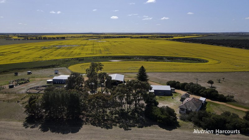 Photo - Lot 148 Savage Road, Neridup WA 6450 - Image 4