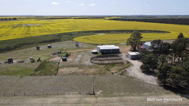 Photo - Lot 148 Savage Road, Neridup WA 6450 - Image 19