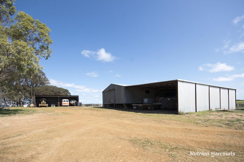 Photo - Lot 148 Savage Road, Neridup WA 6450 - Image 33