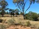 Photo - Lot 149 Wallumbilla North Road, Wallumbilla QLD 4428 - Image 2