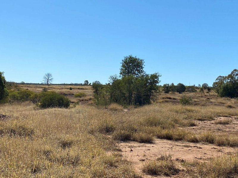 Photo - Lot 149 Wallumbilla North Road, Wallumbilla QLD 4428 - Image 5