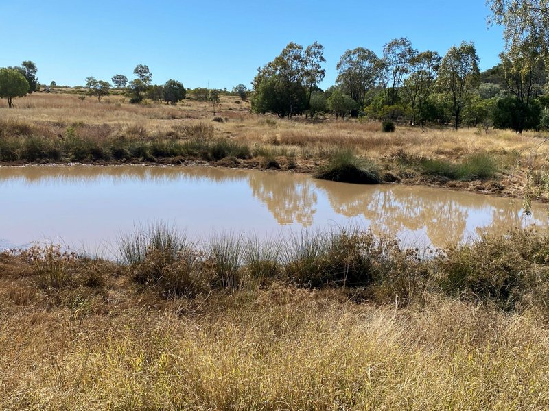 Photo - Lot 149 Wallumbilla North Road, Wallumbilla QLD 4428 - Image 7