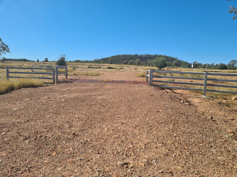 Photo - Lot 149 Wallumbilla North Road, Wallumbilla QLD 4428 - Image 8