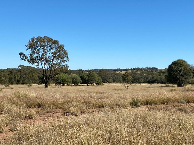 Photo - Lot 149 Wallumbilla North Road, Wallumbilla QLD 4428 - Image 12