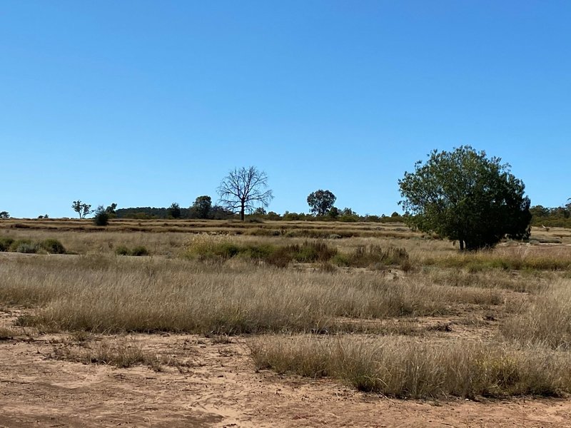 Photo - Lot 149 Wallumbilla North Road, Wallumbilla QLD 4428 - Image 13