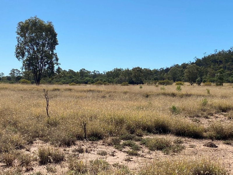 Photo - Lot 149 Wallumbilla North Road, Wallumbilla QLD 4428 - Image 14