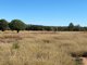 Photo - Lot 149 Wallumbilla North Road, Wallumbilla QLD 4428 - Image 15