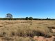 Photo - Lot 149 Wallumbilla North Road, Wallumbilla QLD 4428 - Image 16