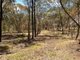 Photo - Lot 15 Argent Road, Penfield SA 5121 - Image 6