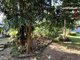 Photo - Lot 15 Esther Court, Bulgun QLD 4854 - Image 18