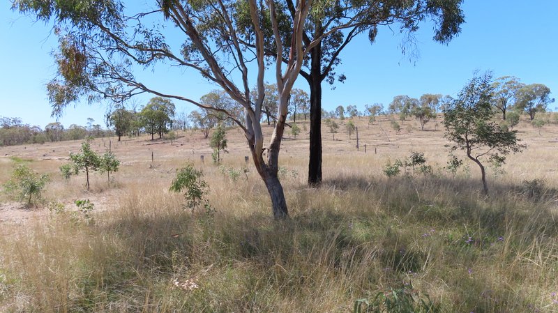 Photo - Lot 15 Reedy Creek Road, Thanes Creek QLD 4370 - Image 5