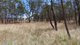 Photo - Lot 15 Reedy Creek Road, Thanes Creek QLD 4370 - Image 6