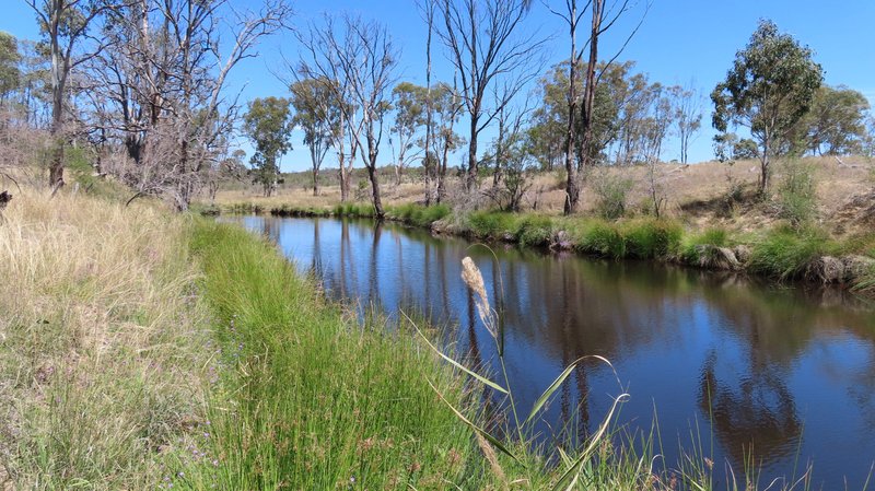 Photo - Lot 15 Reedy Creek Road, Thanes Creek QLD 4370 - Image 8