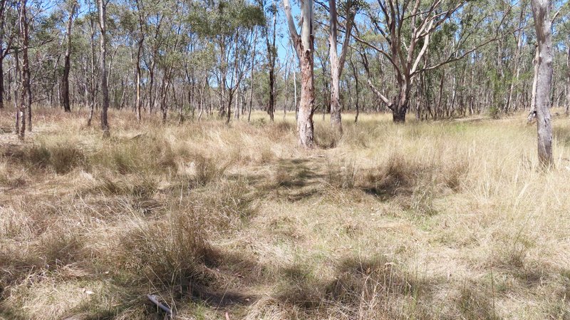 Photo - Lot 15 Reedy Creek Road, Thanes Creek QLD 4370 - Image 9