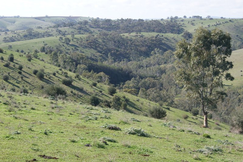 Photo - Lot 15 Riggs Road, Yattalunga SA 5114 - Image 9