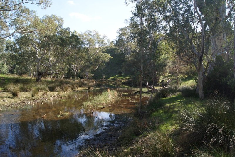 Photo - Lot 15 Riggs Road, Yattalunga SA 5114 - Image 20