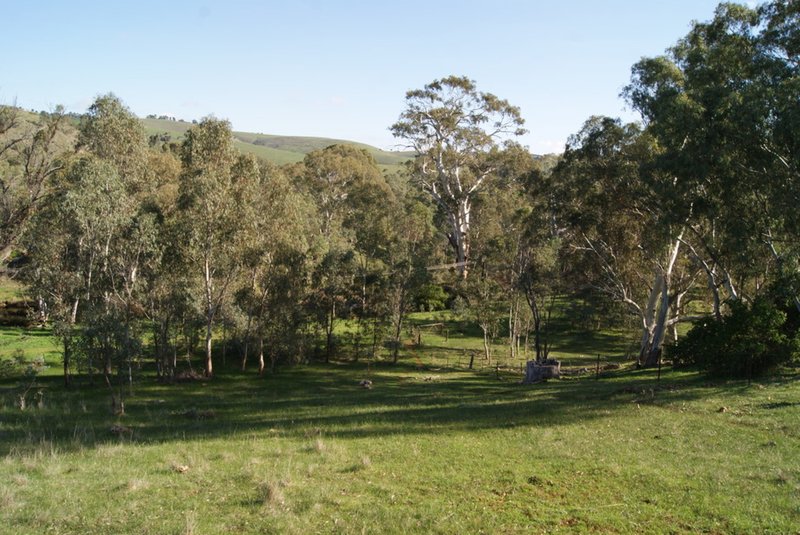 Photo - Lot 15 Riggs Road, Yattalunga SA 5114 - Image 21