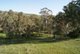 Photo - Lot 15 Riggs Road, Yattalunga SA 5114 - Image 21