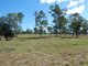 Photo - Lot 15 Websters Road, Euleilah QLD 4674 - Image 6