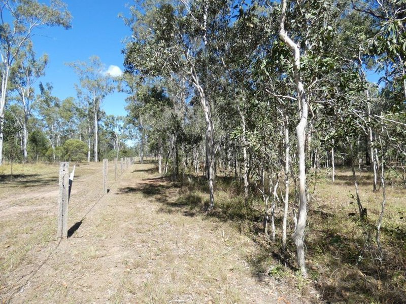 Photo - Lot 15 Websters Road, Euleilah QLD 4674 - Image 19