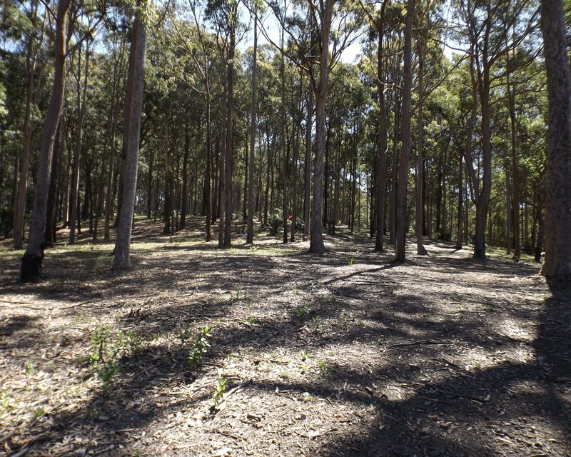 Photo - Lot 15 Worthy Drive, Malua Bay NSW 2536 - Image 4