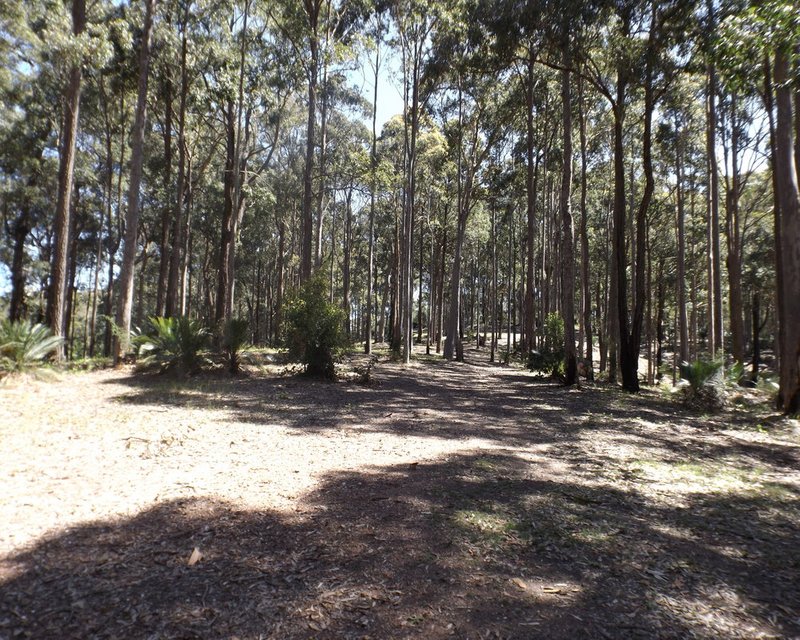 Photo - Lot 15 Worthy Drive, Malua Bay NSW 2536 - Image 9