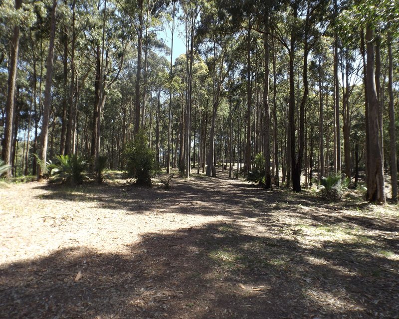 Photo - Lot 15 Worthy Drive, Malua Bay NSW 2536 - Image 10