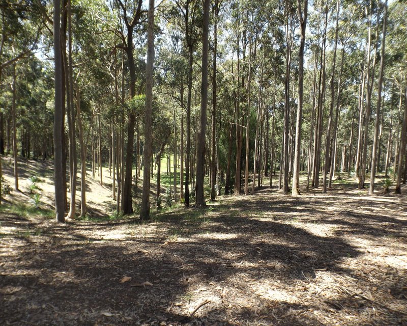 Photo - Lot 15 Worthy Drive, Malua Bay NSW 2536 - Image 11