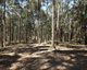 Photo - Lot 15 Worthy Drive, Malua Bay NSW 2536 - Image 12