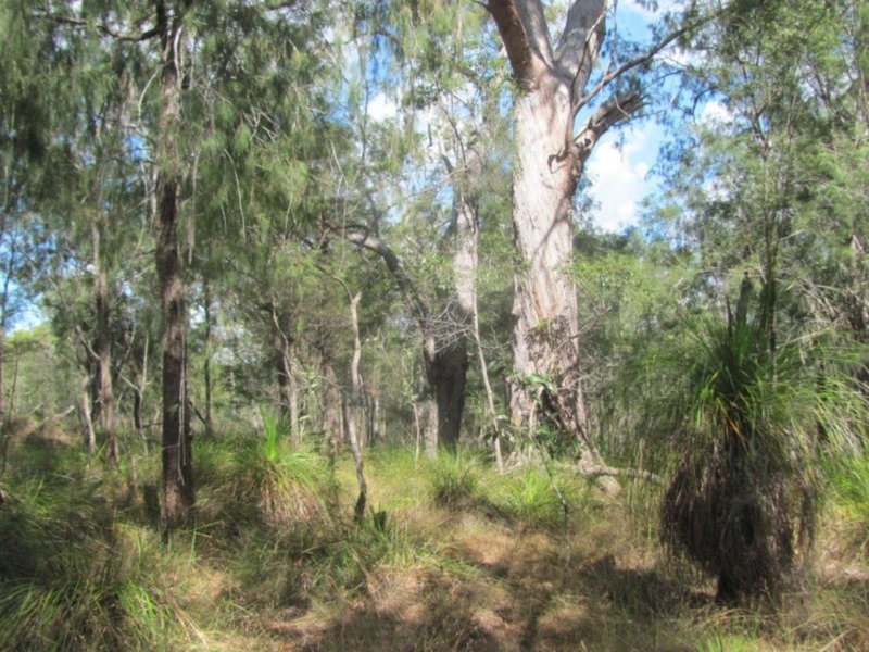 Photo - Lot 150 Capricornia Drive, Deepwater QLD 4674 - Image 2