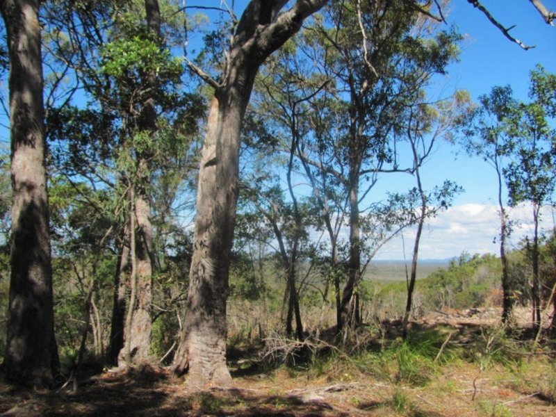 Photo - Lot 150 Capricornia Drive, Deepwater QLD 4674 - Image 4