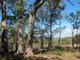 Photo - Lot 150 Capricornia Drive, Deepwater QLD 4674 - Image 4