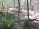 Photo - Lot 150 Capricornia Drive, Deepwater QLD 4674 - Image 5