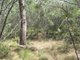 Photo - Lot 150 Capricornia Drive, Deepwater QLD 4674 - Image 6