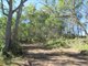 Photo - Lot 150 Capricornia Drive, Deepwater QLD 4674 - Image 13