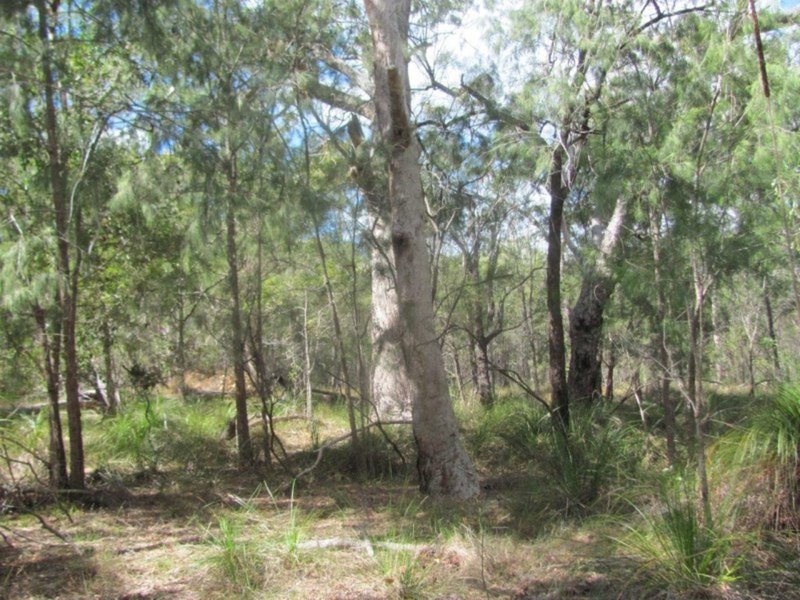 Photo - Lot 150 Capricornia Drive, Deepwater QLD 4674 - Image 16